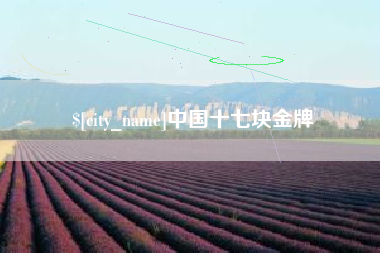 莘县中国十七块金牌