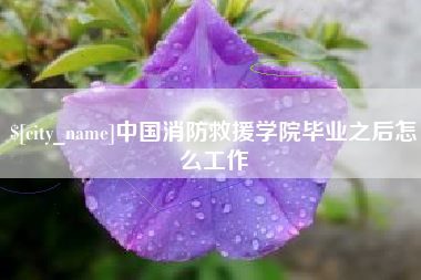 莘县中国消防救援学院毕业之后怎么工作