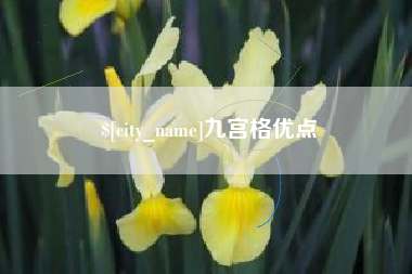 莘县九宫格优点