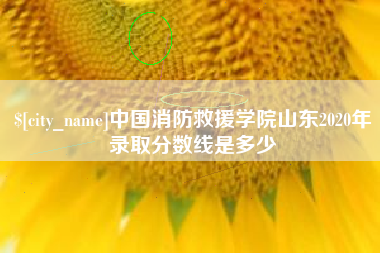 莘县中国消防救援学院山东2020年录取分数线是多少