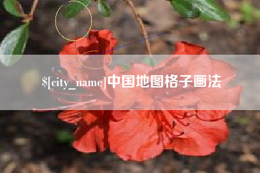 莘县中国地图格子画法