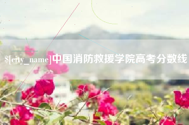 莘县中国消防救援学院高考分数线