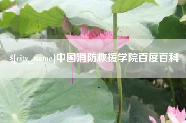 莘县中国消防救援学院百度百科