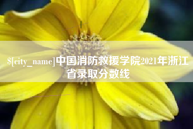 莘县中国消防救援学院2021年浙江省录取分数线