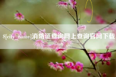 莘县消防证查询网上查询官网下载