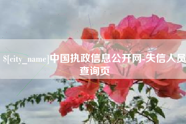 莘县中国执政信息公开网-失信人员查询页