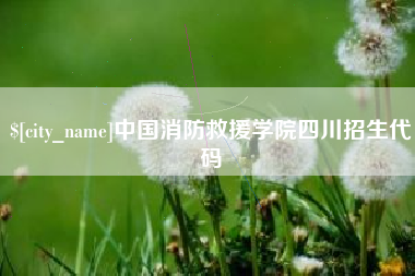 莘县中国消防救援学院四川招生代码