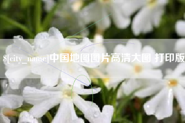莘县中国地图图片高清大图 打印版