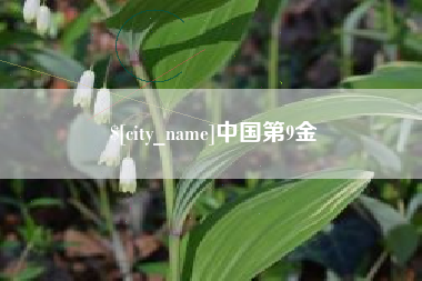 莘县中国第9金