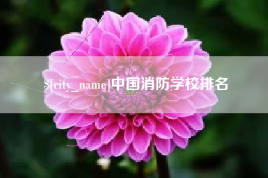 莘县中国消防学校排名