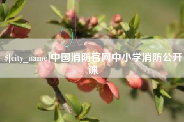 莘县中国消防官网中小学消防公开课