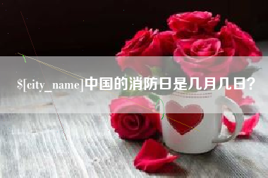 莘县中国的消防日是几月几日？