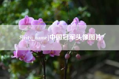 莘县中国冠军头像图片