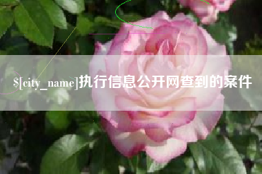 莘县执行信息公开网查到的案件