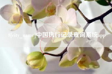 莘县中国执行记录查询系统app