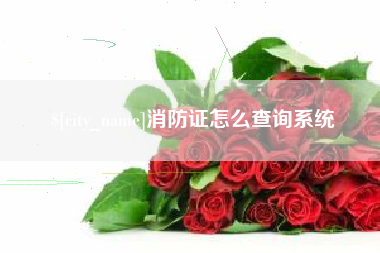 莘县消防证怎么查询系统
