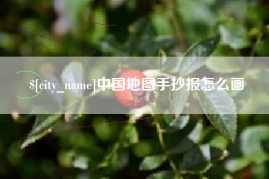 莘县中国地图手抄报怎么画