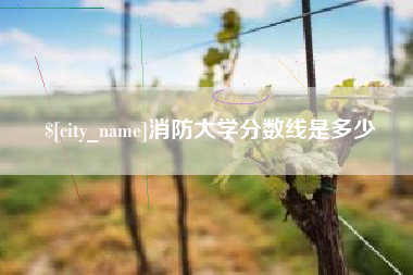 莘县消防大学分数线是多少
