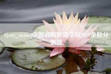 莘县中国消防救援学院2019录取分数线