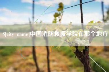 莘县中国消防救援学院在那个地方