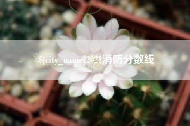 莘县2021消防分数线