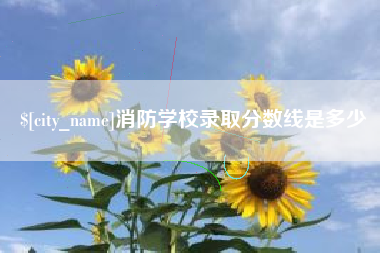 莘县消防学校录取分数线是多少