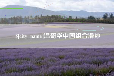 莘县温哥华中国组合滑冰
