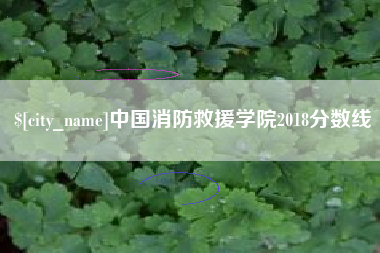 莘县中国消防救援学院2018分数线