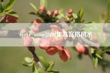 莘县2021年九宫格风水