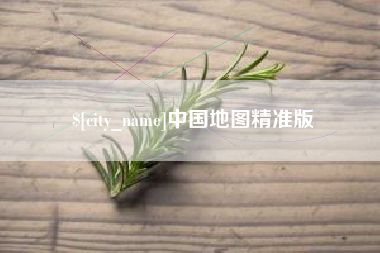 莘县中国地图精准版