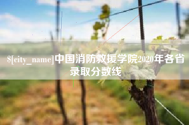 莘县中国消防救援学院2020年各省录取分数线