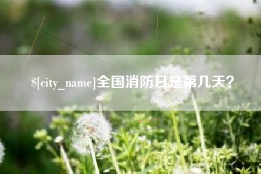 莘县全国消防日是第几天？