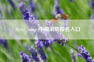 莘县中国消防报名入口