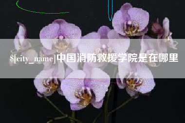 莘县中国消防救援学院是在哪里
