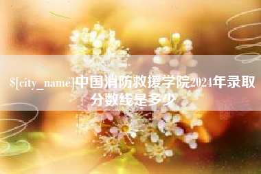 莘县中国消防救援学院2024年录取分数线是多少