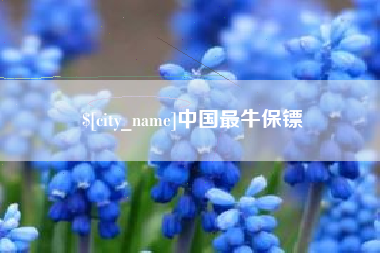 莘县中国最牛保镖