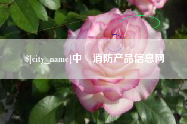 莘县中囯消防产品信息网