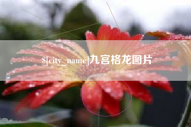 莘县九宫格龙图片