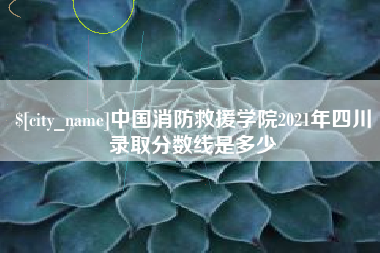 莘县中国消防救援学院2021年四川录取分数线是多少