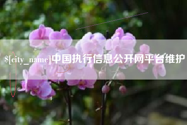 莘县中国执行信息公开网平台维护