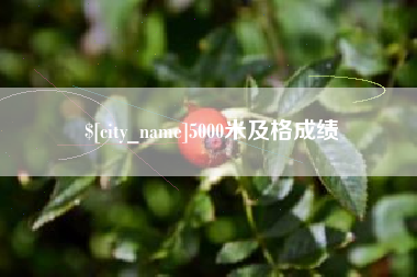 莘县5000米及格成绩