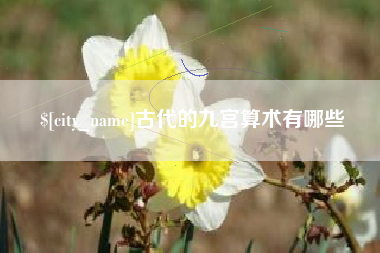 莘县古代的九宫算术有哪些