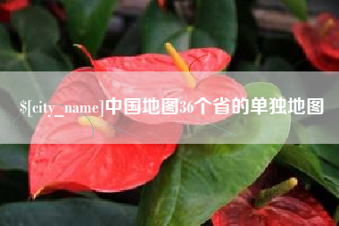 莘县中国地图36个省的单独地图