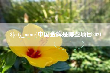 莘县中国金牌是哪些项目2021