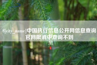 莘县中国执行信息公开网信息查询官网限消中查询不到