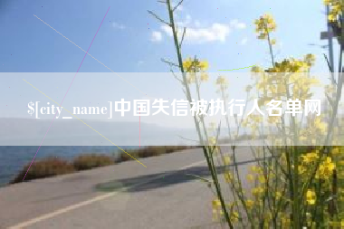 莘县中国失信被执行人名单网