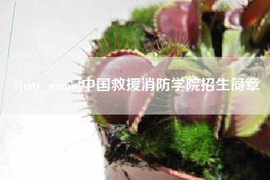 莘县中国救援消防学院招生简章