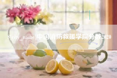 莘县中国消防救援学院分数2020