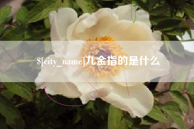 莘县九金指的是什么