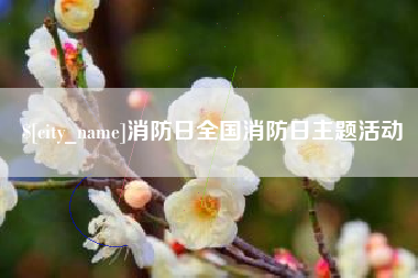 莘县消防日全国消防日主题活动